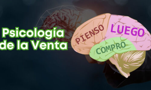 miniatura del curso