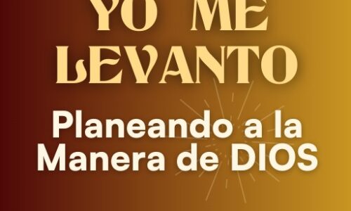 miniatura del curso
